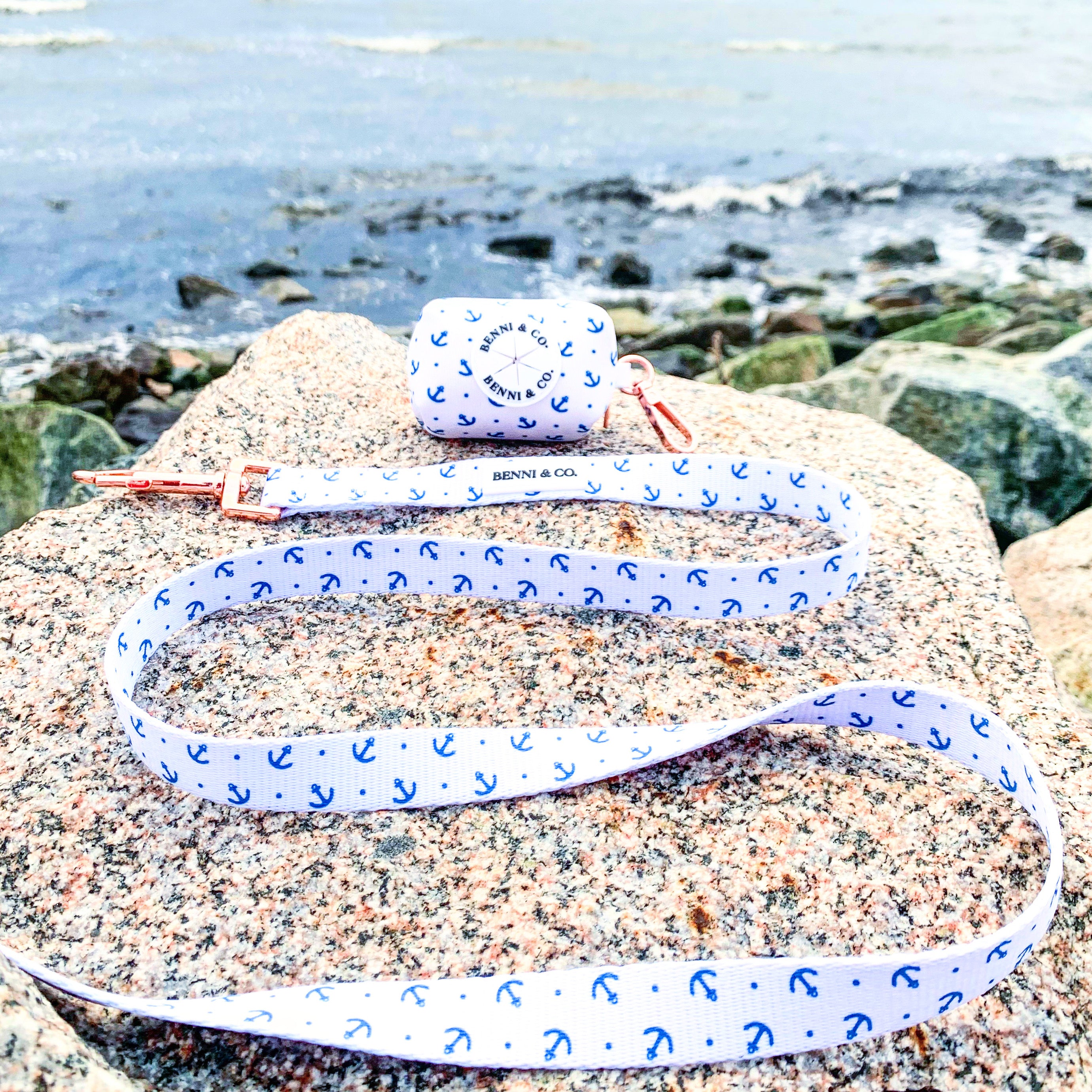 Main Anchors Aweigh Dog Leash image